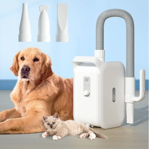 Pulsr® 2 : Pulseur pour chien silencieux et puissant