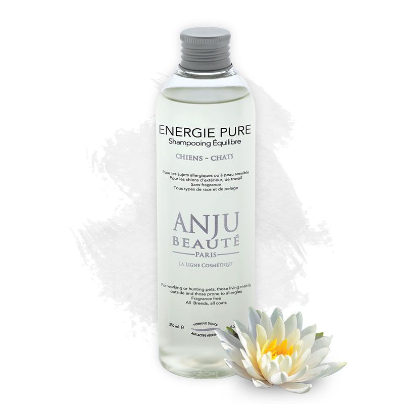 Anju Beauté Énergie Pure