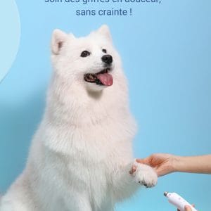 meilleure coupe ongle pour chien électrique