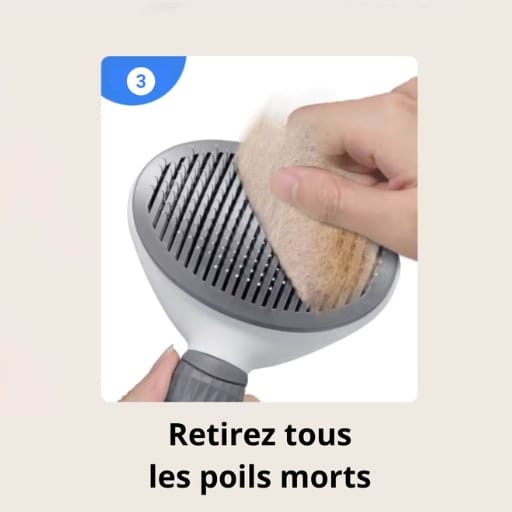 brosse ou les poils s'enlèvent facilement