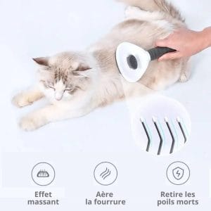 Les avantages d'une brosse auto nettoyante