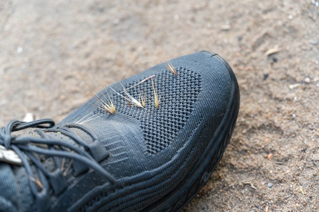 épillet accroché à une chaussure