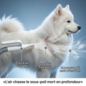debourrage de poils d'un samoyede